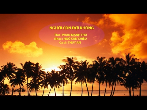 Người còn đợi không Sheet - Thúy An