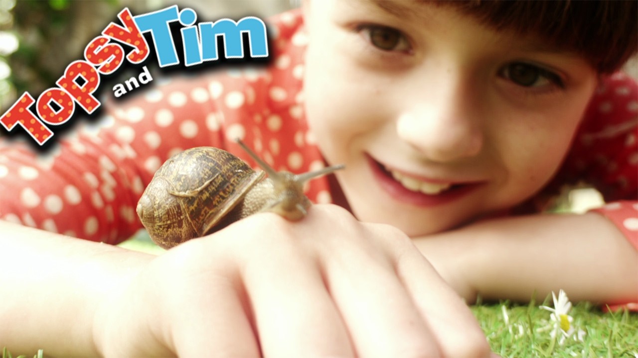 Bulanlar arayanlar | Topsy ve Tim - WildBrain | Çocuk Filmleri