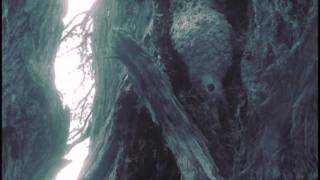 Extremities - Four Riders