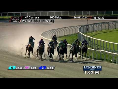 210926 c04 QUILLAN (BRZ)