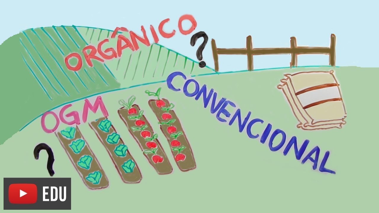 Organic, conventional or GMO?