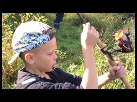 Kalakingit koskikalassa