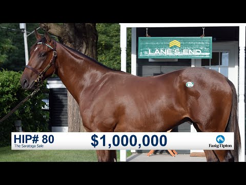 Before They Were Stars: Flightline at The Saratoga Sale (2019)