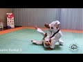 PAPUREN Bunkai