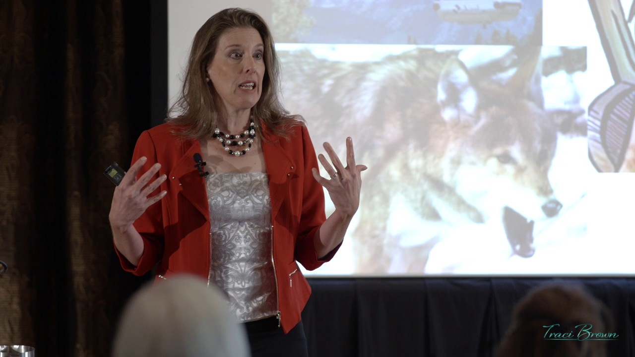 Promotional video thumbnail 3 for Fraud Busting Body Language Expert