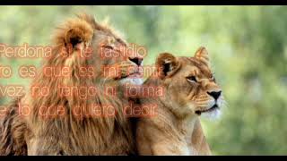 antes de que te vayas - Marco Antonio Solis