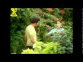 Pora Kanthiri Mama Songs Mundadugu Krishna JayaPrada