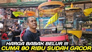 Download lagu BIKIN SEDIH LIAT MBAH INI JUAL BURUNG GACOR KESAYANGANNYA CUMA 80 RIBU PADAHAL SUDAH BUNYI mp3