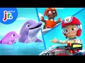 The Pups Save A Dolphin PAW Patrol Netflix Jr