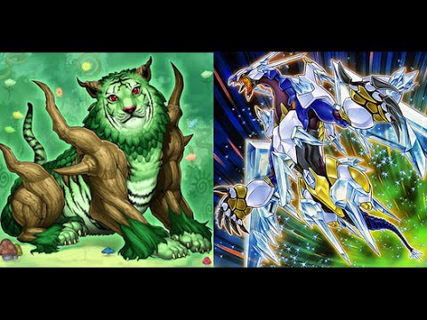 DevPro Duels | TeleTune's Potential