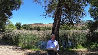 Episode 11: Divine Communication