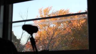 Sean Trischka - &quot;When the Circus Comes&quot; (Los Lobos cover)