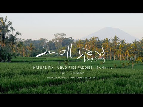 NATURE FIX - Ubud Rice Paddies - Bali, Indonesia - 4K (from Small Island Big Song)