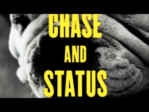 Brixton Briefcase ft. Ceelo Green - Chase and Status (No More Idols)