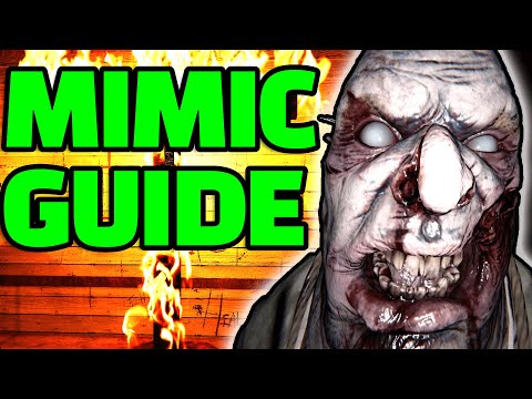 How to NEVER Get Fooled by The Mimic Again