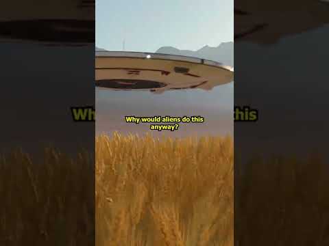 Crop Circles EXPLAINED! - Aliens & UFOs vs. Reality!