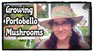 Mushroom Cultivation Starts Again (Portabello)