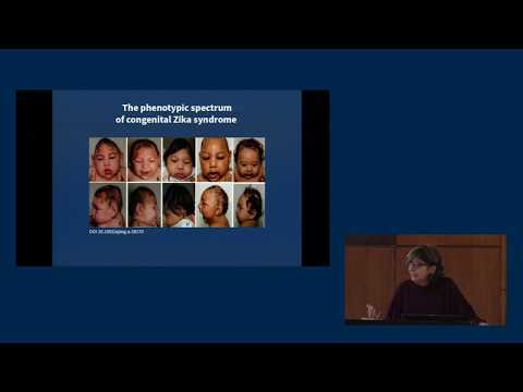 "The Zika Crisis in Brazil:  A CASE STUDY OF INTERDISCIPLINARY APPROACHES TO PUBLIC HEALTH"