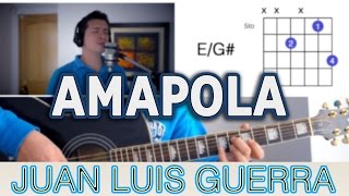 Amapola Juan Luis Guerra Tutorial Cover - Acordes [Mauro Martinez]