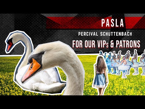 PERCIVAL - Pasla - Q&A version for Percival Patrons and VIPs