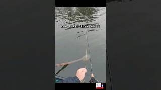 #BUSTED 😭😭 FLY FISHING for wild brown trout Scotland UK