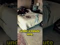 Britney Spears SCARY New Video Shorts