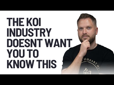 Dainichi Super Monster Showa, Filter Hacks & Koi Food Truths – Koi Questions Answered