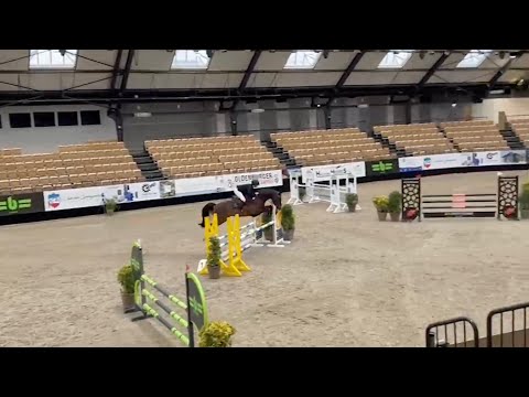 Dilaro v. Dinken und Jayke Junge Platz 9 in Springpferde L (8,1)