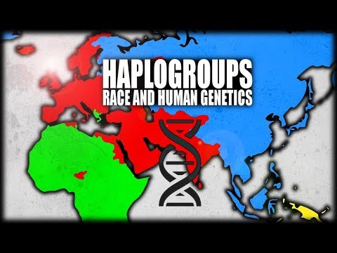 What are Haplogroups? Human Genetics Explained