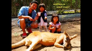 [New Zealand] Australia trip (English subtitle available)【ニュージーランド】レイ、リノ　初めてのオーストラリア、ゴールドコースト 旅行