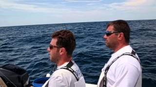 Fish Mavericks First shark release