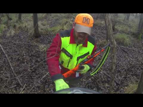 Nachsuche nach Drückjagd: Kontrollsuche mit Schuss.