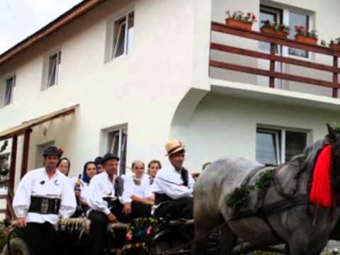 Pensiunea Ioana lavita