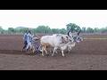 વાવણી A Day Life Of Indian Farmer Vavani Peanut Farming Farmers Life In Gujrat