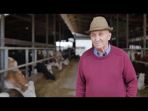 Naša priča ep. 240 26.03.2020. Govedarstvo, Tišina, Čedomir Borojević