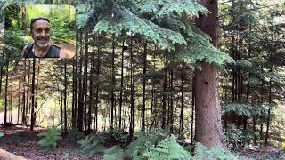 Defining Your Pathway
