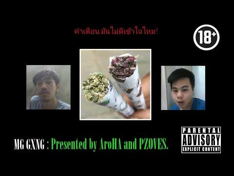 [MG] ตุ่ย (Tui) - AroHA x PZOVES