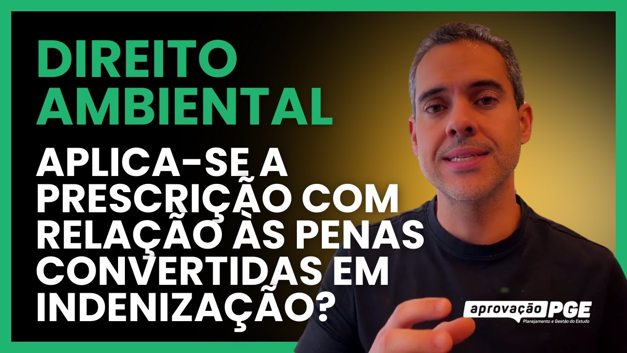 Does the execution of environmental damage repair converted into compensation for losses and dama...