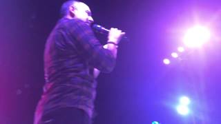 311 Jamaica Cruise 2015 - Great Divide