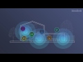 kisslink:Plug and Play Home WiFi System