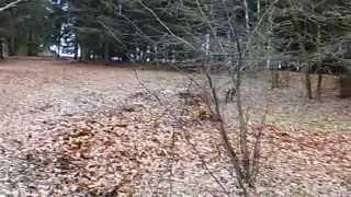 Fang mich doch...           ...Eierloch !!!