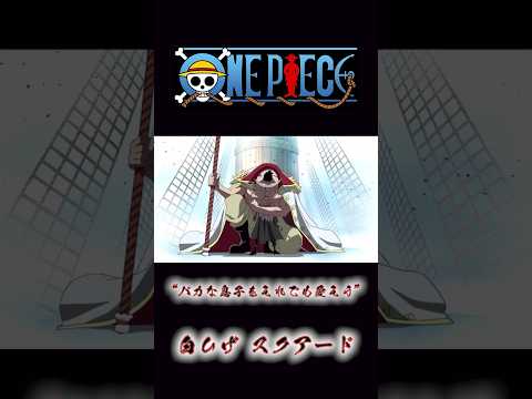 ONEPIECE “馬鹿な息子をそれでも愛そう” 白ひげ スクアード #onepiece #白ひげ #スクアード #頂上戦争