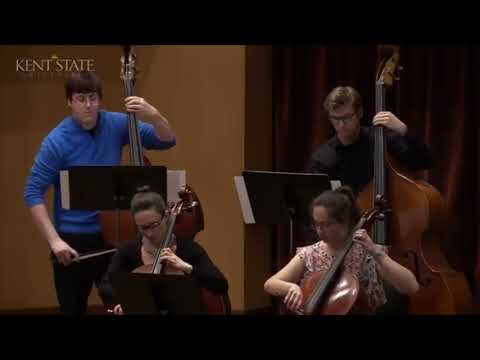 Approximatura (2019). Kent State University New Music Ensemble Strings, Andrew Blake Conducting