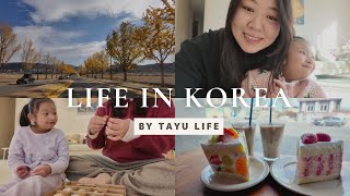 VLOG｜激安ツリーで迎える韓国のクリスマス🎄釜山カフェ巡り｜来年に向けた決意