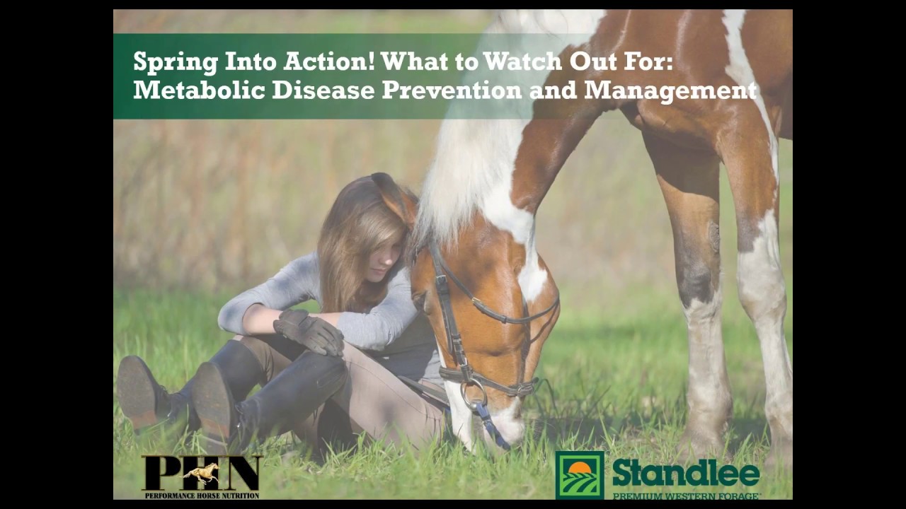 Spring Into Action!  What to Watch Out For: Metabolic Disease Prevention & Management