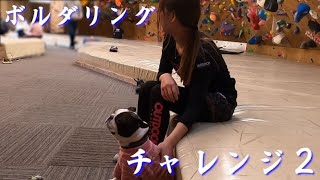 何も知らない初心者が、ボルダリングにチャレンジしてみた2/2（高知県、高知市）