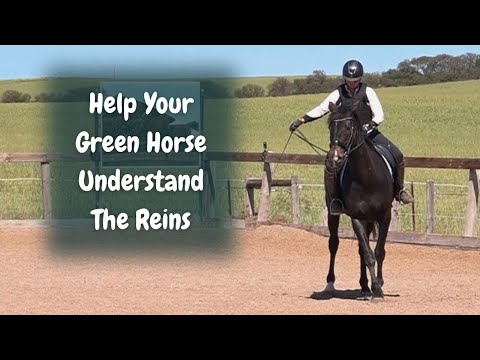 How To Use Your Reins With A Green Horse