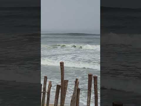 #shorts #ଚନ୍ଦ୍ରଭାଗା #konark #viral #trending #ytshort #yt #shortsvideo #support #whatsapp #youtuber