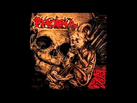 Phobia 13 - ignorants americans