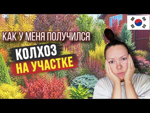 Мой участок в корейских горах и первые ошибки / KOREA VLOG